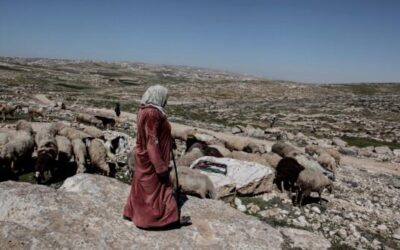 La crisi degli studi sul genocidio